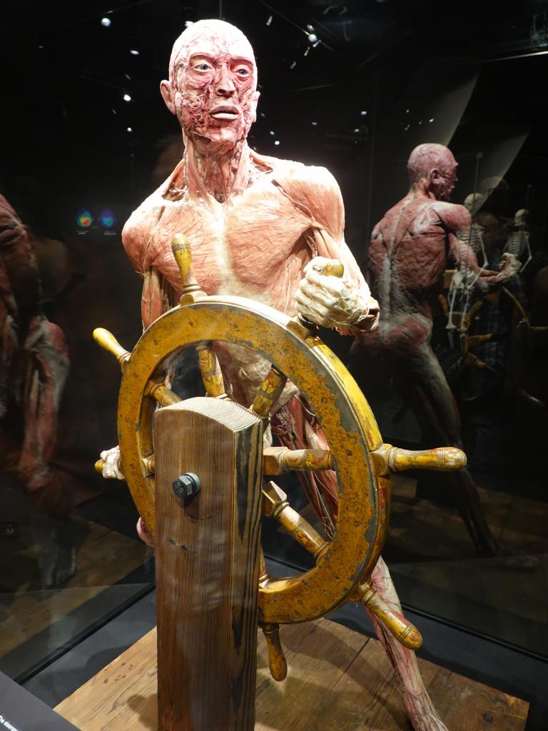 209 - 20191016 Amsterdam Body World