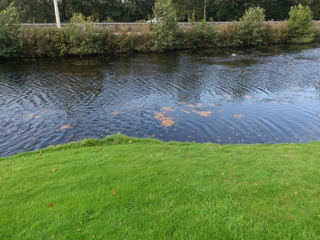 113 - 20191017 Den Haag