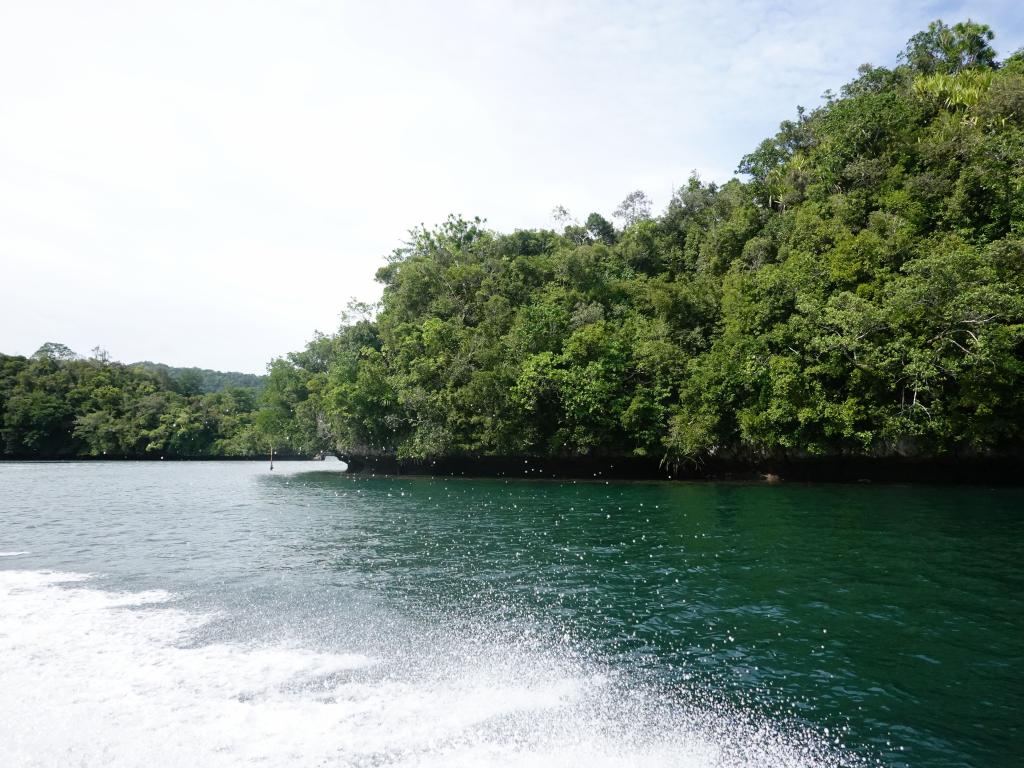 110 - 20191107 Palau Sams Tour Kayak