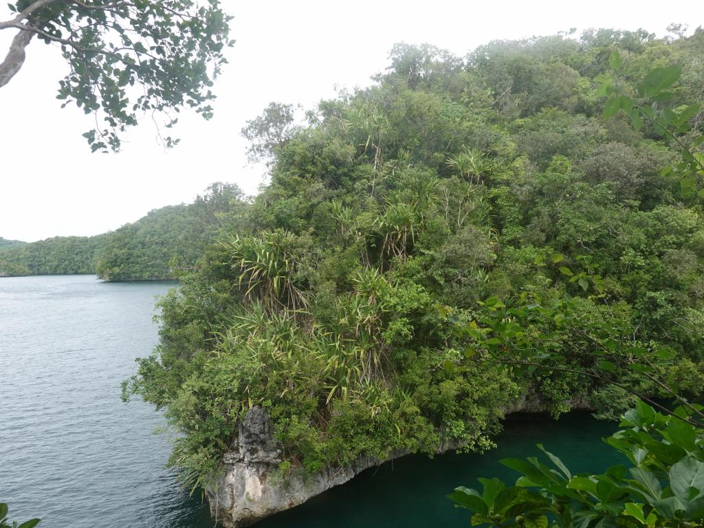 205 - 20191107 Palau Sams Tour Kayak