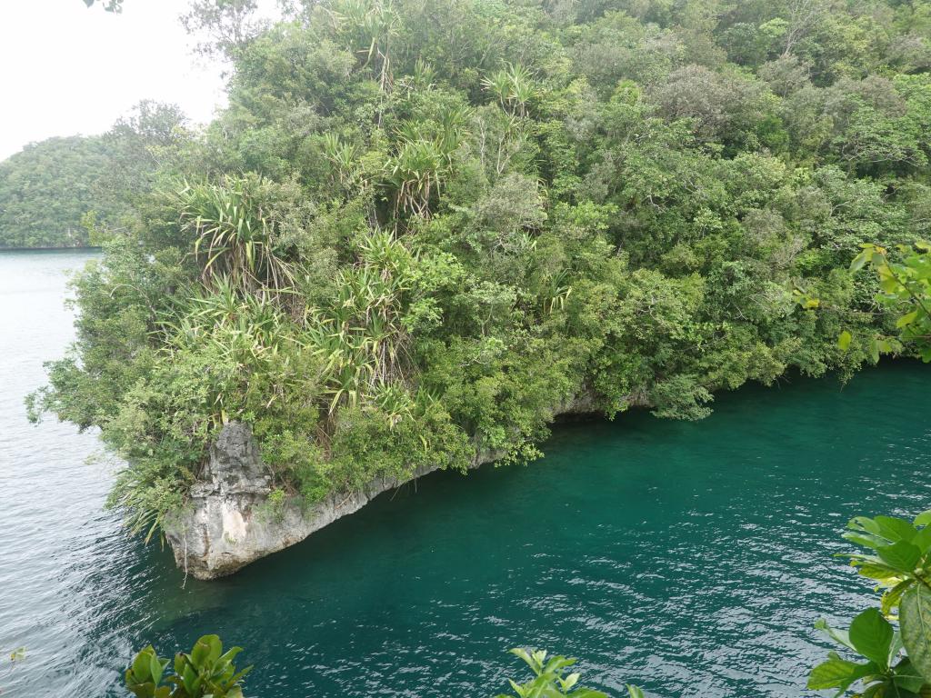 210 - 20191107 Palau Sams Tour Kayak