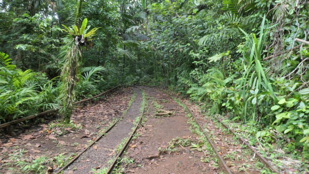 560 - 20191118 Palau Cultural Tour