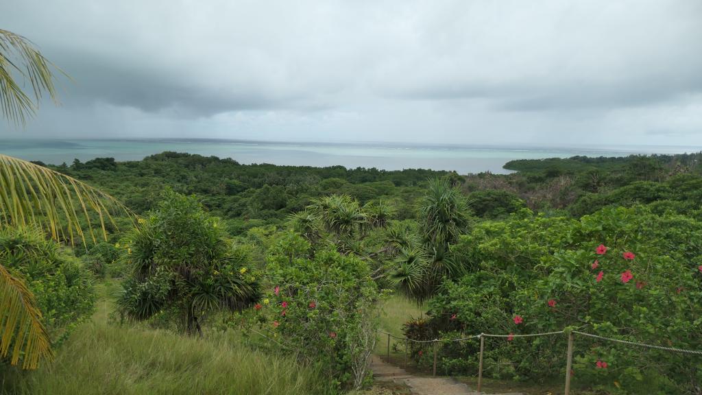 562 - 20191118 Palau Cultural Tour