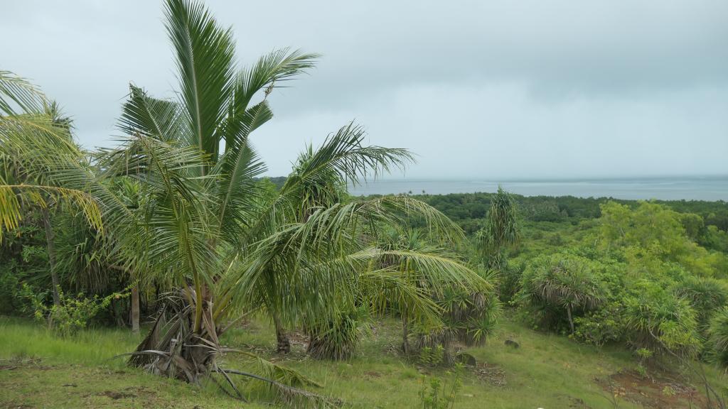 563 - 20191118 Palau Cultural Tour