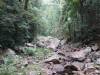 203 - 20200111 Springbrook NP