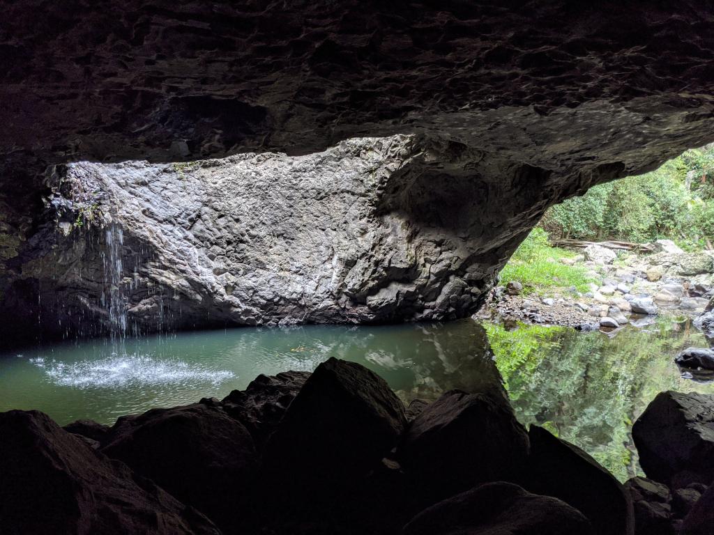 215 - 20200111 Springbrook NP