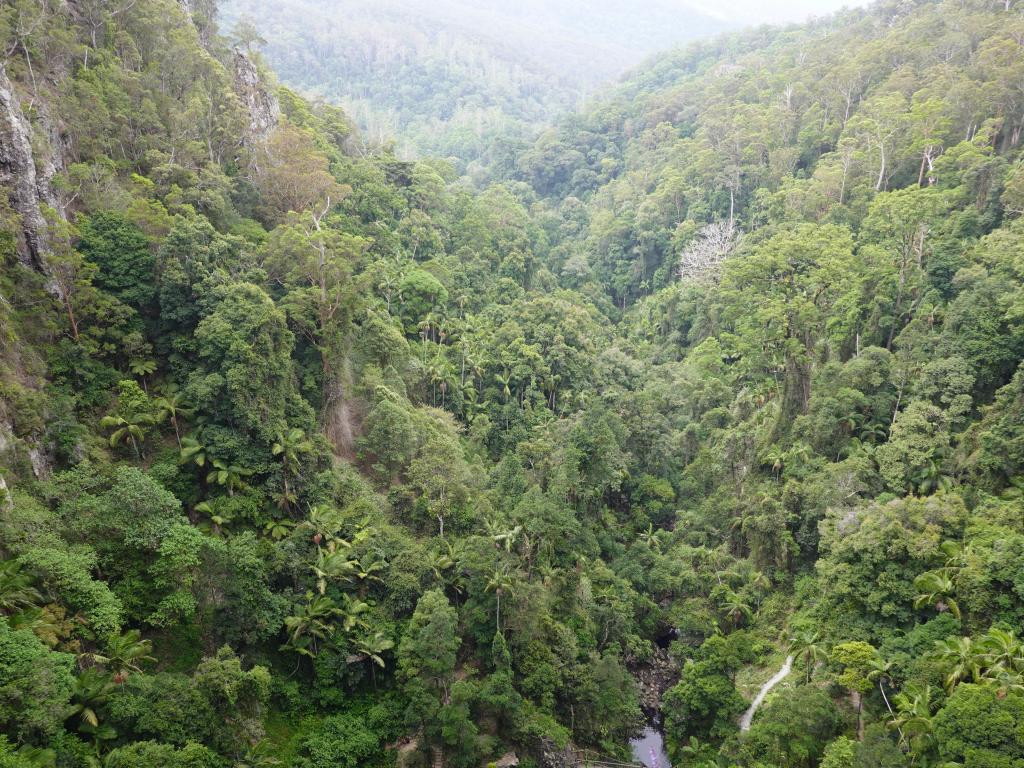 235 - 20200111 Springbrook NP