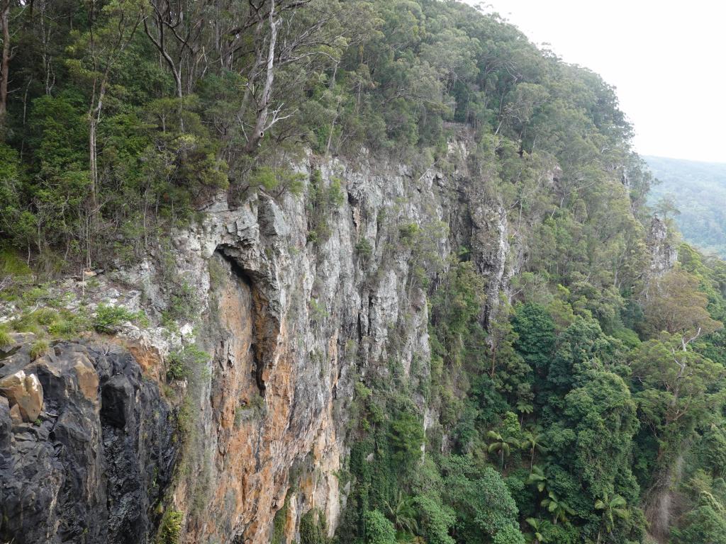 240 - 20200111 Springbrook NP