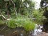 234 - 20200111 Springbrook NP