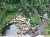 236 - 20200111 Springbrook NP