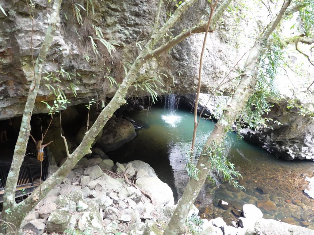 205 - 20200111 Springbrook NP