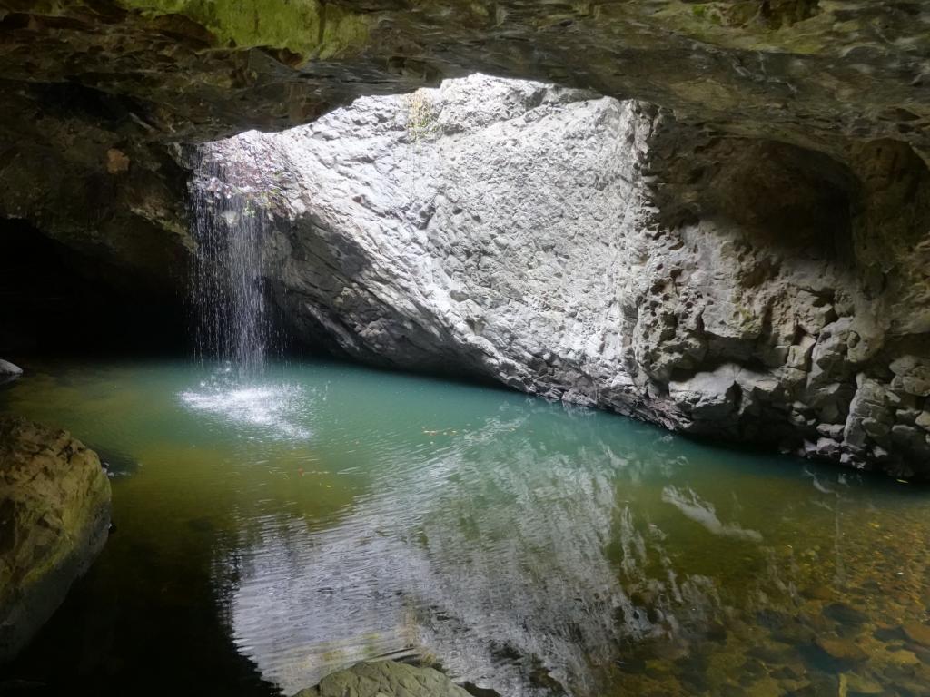 206 - 20200111 Springbrook NP