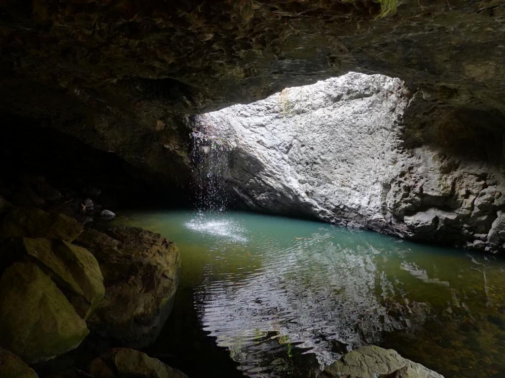 207 - 20200111 Springbrook NP