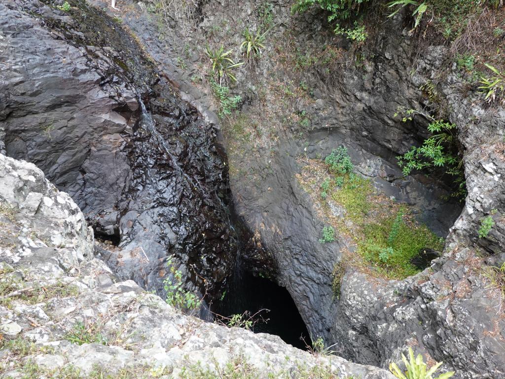 217 - 20200111 Springbrook NP