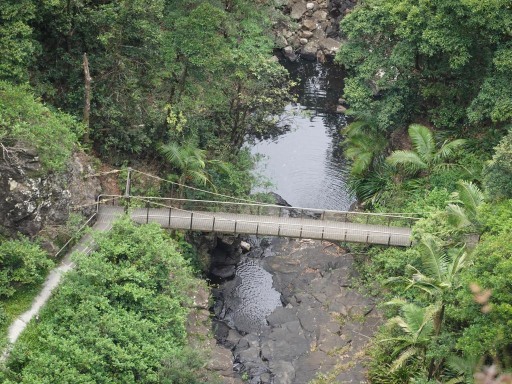 239 - 20200111 Springbrook NP