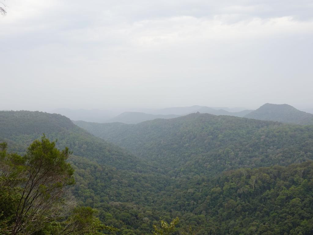 246 - 20200111 Springbrook NP