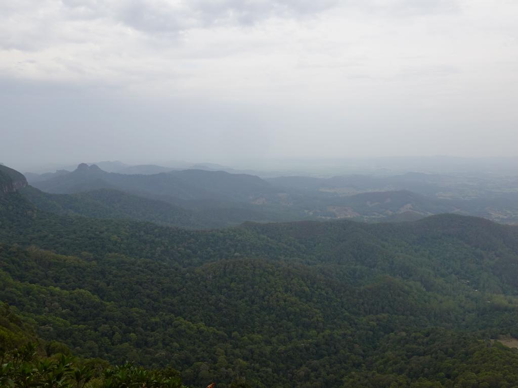 249 - 20200111 Springbrook NP