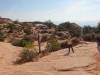 3119 - 20200924 Moab Canyonlands