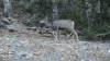 8161 - 20200929 Great Basin Wheeler Peak