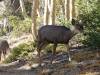 8193 - 20200929 Great Basin Wheeler Peak