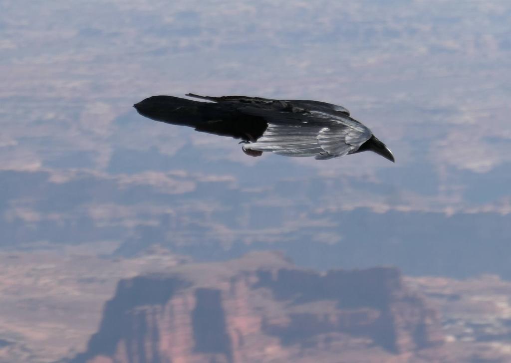 3225 - 20200924 Moab Canyonlands