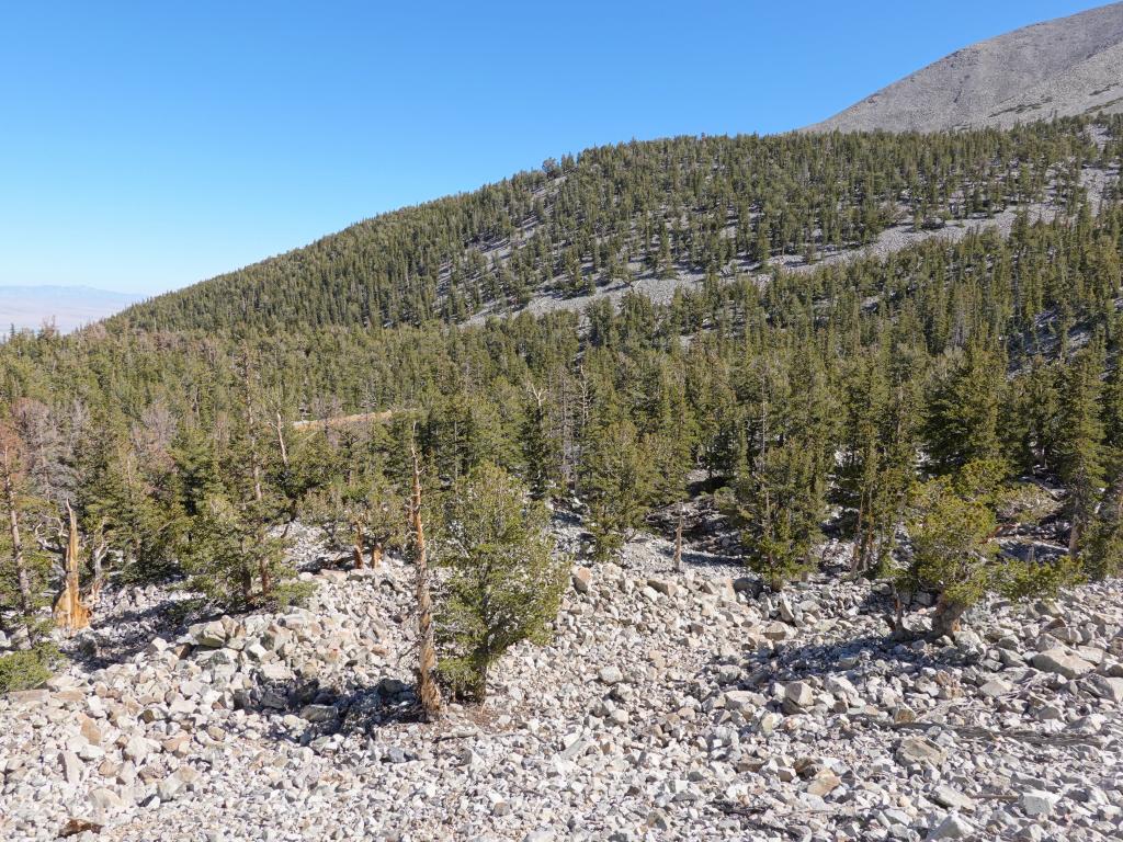 8112 - 20200929 Great Basin Wheeler Peak