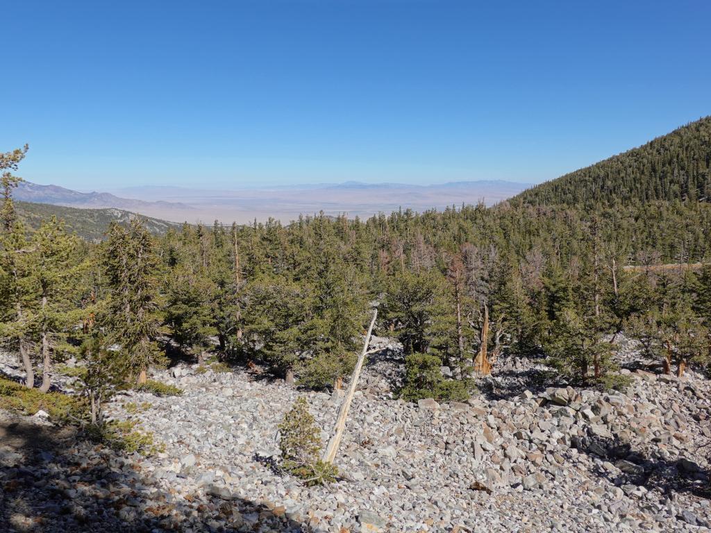 8113 - 20200929 Great Basin Wheeler Peak