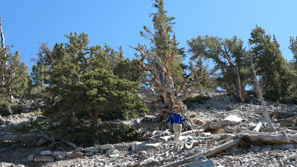 8115 - 20200929 Great Basin Wheeler Peak