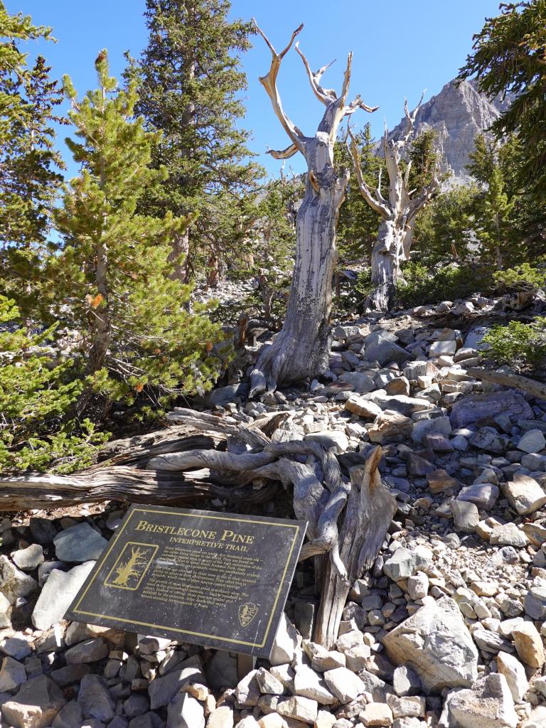 8118 - 20200929 Great Basin Wheeler Peak