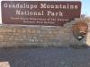 2256 - 20201114 Guadalupe Mountains NP