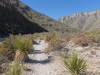 2260 - 20201114 Guadalupe Mountains NP