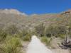 2261 - 20201114 Guadalupe Mountains NP