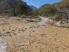 2263 - 20201114 Guadalupe Mountains NP