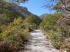 2266 - 20201114 Guadalupe Mountains NP