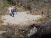 2269 - 20201114 Guadalupe Mountains NP