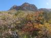 2272 - 20201114 Guadalupe Mountains NP