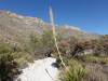 2273 - 20201114 Guadalupe Mountains NP