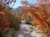 2274 - 20201114 Guadalupe Mountains NP