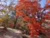 2275 - 20201114 Guadalupe Mountains NP