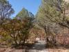 2276 - 20201114 Guadalupe Mountains NP