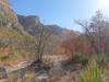 2281 - 20201114 Guadalupe Mountains NP