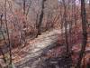 2282 - 20201114 Guadalupe Mountains NP