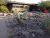 9105 - 20201122 Desert Botanical Garden