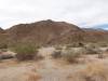 9804 - 20201122 Joshua Tree NP