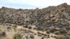9822 - 20201122 Joshua Tree NP