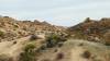 9823 - 20201122 Joshua Tree NP