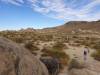 9869 - 20201122 Joshua Tree NP