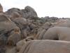 9879 - 20201122 Joshua Tree NP