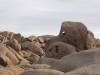 9880 - 20201122 Joshua Tree NP