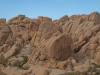 9881 - 20201122 Joshua Tree NP